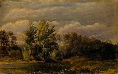 Ein Waldsee umgeben von Birken. Studie.